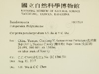 登錄號:F0032828藏品圖，第2張