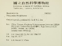 登錄號:F0032829藏品圖，第2張