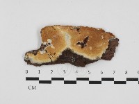 登錄號:F0032829藏品圖，第1張