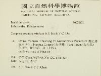 登錄號:F0032831藏品圖，第2張