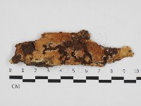 登錄號:F0032831藏品圖，第1張