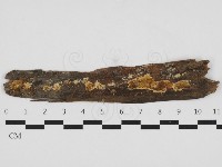 登錄號:F0032832藏品圖，第1張