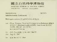 登錄號:F0032833藏品圖，第2張