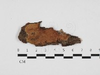 登錄號:F0032833藏品圖，第1張