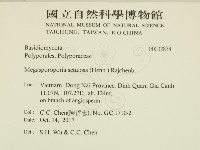 登錄號:F0032834藏品圖，第2張