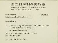 粗糙孢菌屬藏品圖，第2張