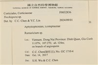 粗糙孢菌屬藏品圖，第3張