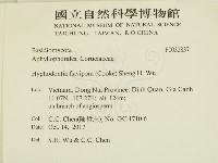 登錄號:F0032837藏品圖，第2張