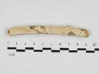 登錄號:F0032838藏品圖，第1張