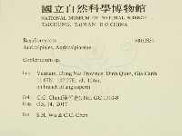 登錄號:F0032839藏品圖，第2張