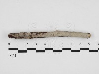 登錄號:F0032839藏品圖，第1張