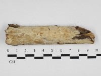 登錄號:F0032840藏品圖，第1張