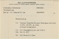 粗糙孢菌屬藏品圖，第3張
