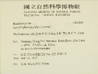 登錄號:F0032843藏品圖，第2張