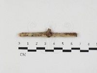 登錄號:F0032843藏品圖，第1張