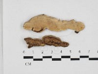 登錄號:F0032846藏品圖，第1張