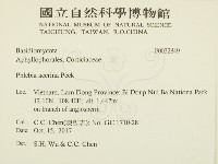 登錄號:F0032849藏品圖，第2張