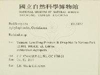 登錄號:F0032852藏品圖，第2張