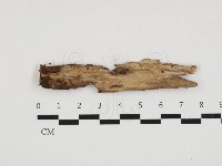 登錄號:F0032852藏品圖，第1張