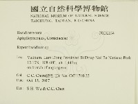 登錄號:F0032854藏品圖，第2張