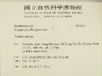 硬孔菌屬藏品圖，第2張