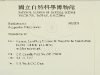 硬孔菌屬藏品圖，第2張