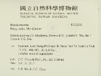 登錄號:F0032861藏品圖，第2張