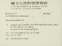 登錄號:F0032862藏品圖，第2張