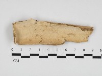 登錄號:F0032863藏品圖，第1張