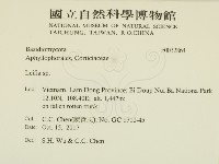 登錄號:F0032864藏品圖，第2張