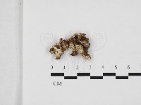 登錄號:F0032864藏品圖，第1張