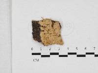 登錄號:F0032866藏品圖，第1張