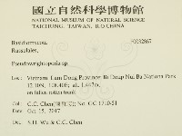 登錄號:F0032867藏品圖，第2張