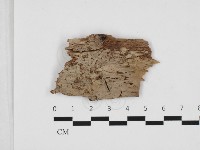 登錄號:F0032868藏品圖，第1張