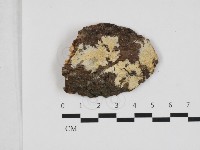 登錄號:F0032869藏品圖，第1張