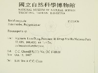 多年臥孔菌屬藏品圖，第2張