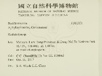 登錄號:F0032871藏品圖，第2張