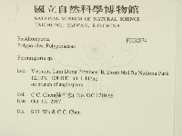 多年臥孔菌屬藏品圖，第2張