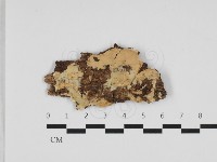 登錄號:F0032875藏品圖，第1張