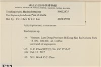登錄號:F0032875藏品圖，第3張