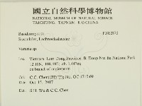 登錄號:F0032876藏品圖，第2張