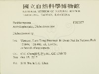 登錄號:F0032877藏品圖，第2張