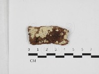 登錄號:F0032877藏品圖，第1張