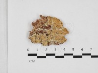 登錄號:F0032878藏品圖，第1張