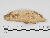 登錄號:F0032879藏品圖，第4張