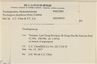 登錄號:F0032880藏品圖，第3張