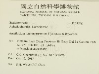 登錄號:F0032881藏品圖，第2張