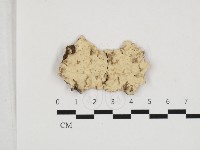 登錄號:F0032881藏品圖，第1張