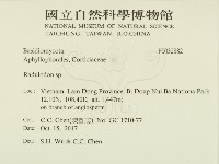 登錄號:F0032882藏品圖，第2張