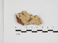 登錄號:F0032882藏品圖，第1張